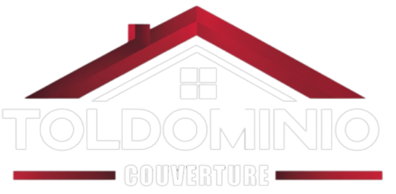 Toldominio Logo